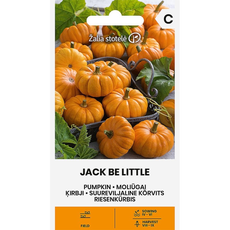 Pumpkin Jack Be Little - Seeds