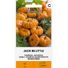 Pumpkin Jack Be Little - Seeds