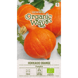 Pumpkin Hokkaido Orange - Seeds