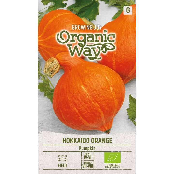 Pumpkin Hokkaido Orange - Seeds