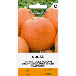 Pumpkin Goliáš - Seeds