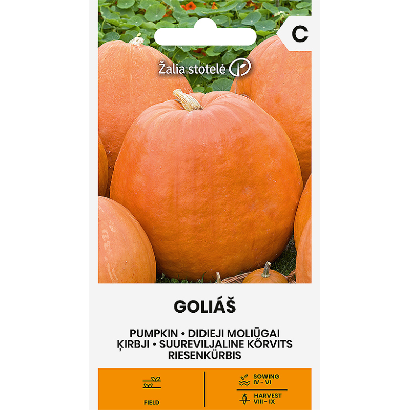 Pumpkin Goliáš - Seeds