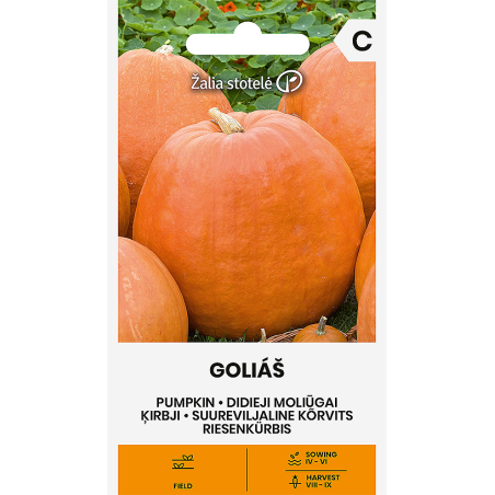 Pumpkin Goliáš - Seeds