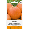Pumpkin Goliáš - Seeds