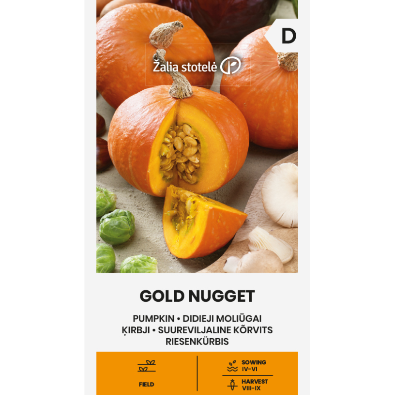 Pumpkin Gold Nugget - Seeds