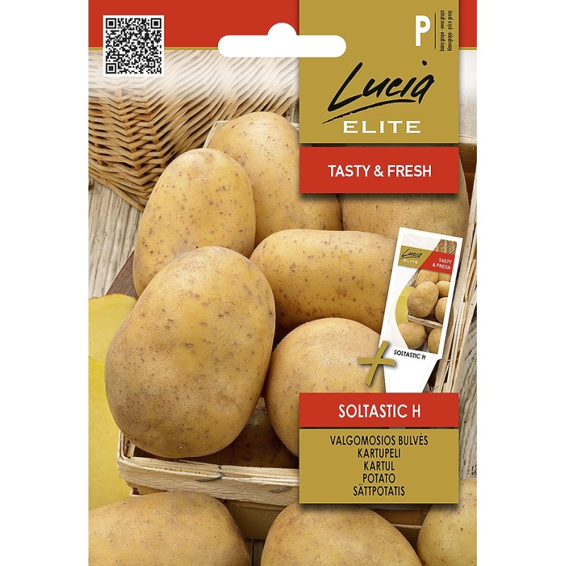 Potato Soltastic H - Seeds