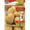 Potato Soltastic H - Seeds