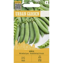 Pea Avola - Seeds