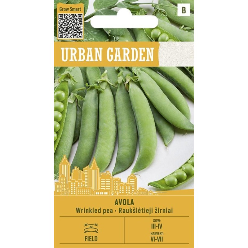 Pea Avola - Seeds