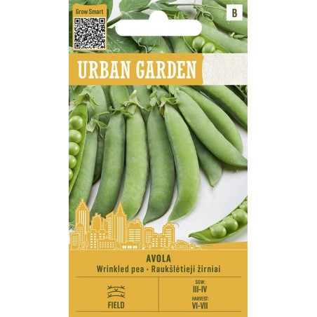 Pea Avola - Seeds