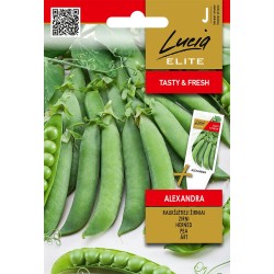 Pea Alexandra - Seeds