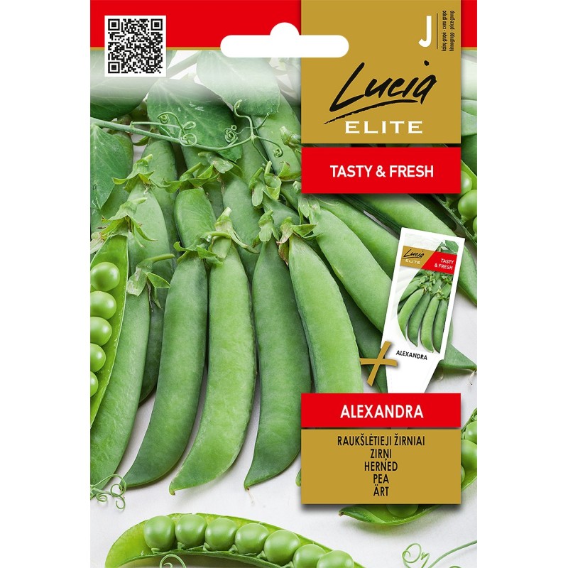 Pea Alexandra - Seeds