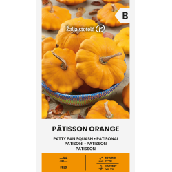 Patty Pan Squash Pâtisson Orange - Seeds