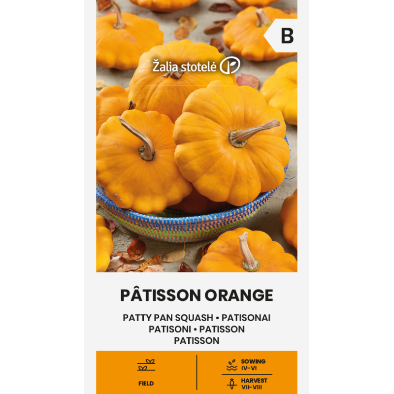 Patty Pan Squash Pâtisson Orange - Seeds