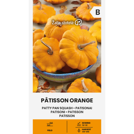 Patty Pan Squash Pâtisson Orange - Seeds