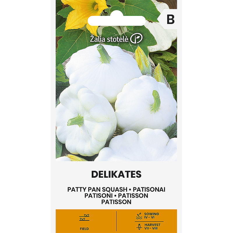 Patty Pan Squash Delikates - Seeds