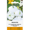 Patty Pan Squash Delikates - Seeds