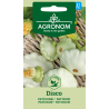 Patty Pan Squash (Patisson) Disco - Seeds