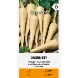 Parsnip Guernsey - Seeds