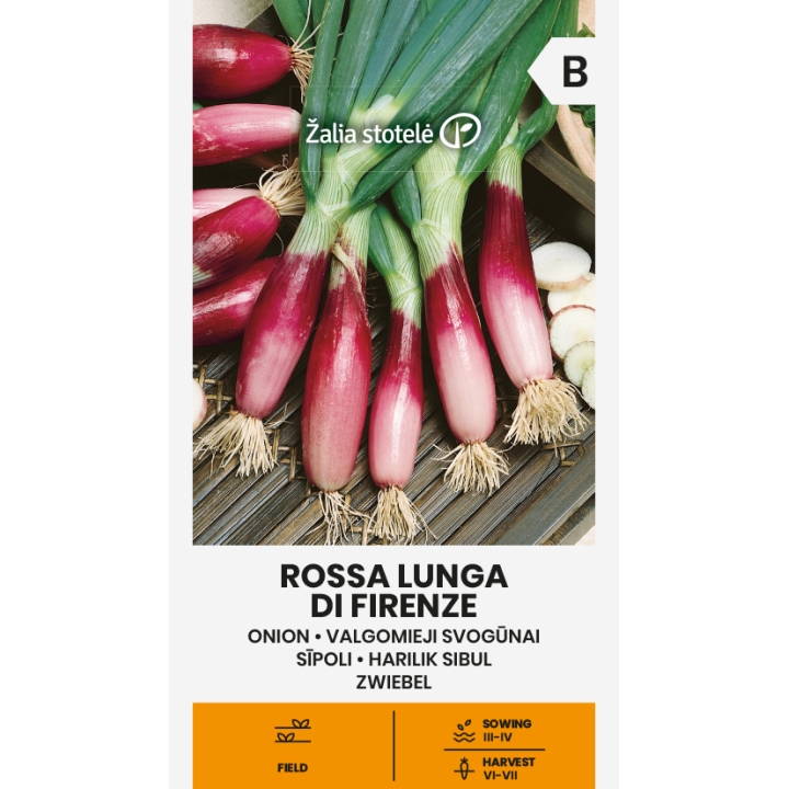 Onion, Large red Florencia - 100 seeds