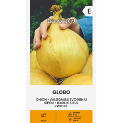 Onion Globo - Seeds