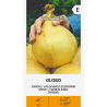 Onion Globo - Seeds