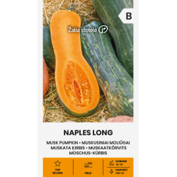 Pumpkin Musk Naples Long - Seeds