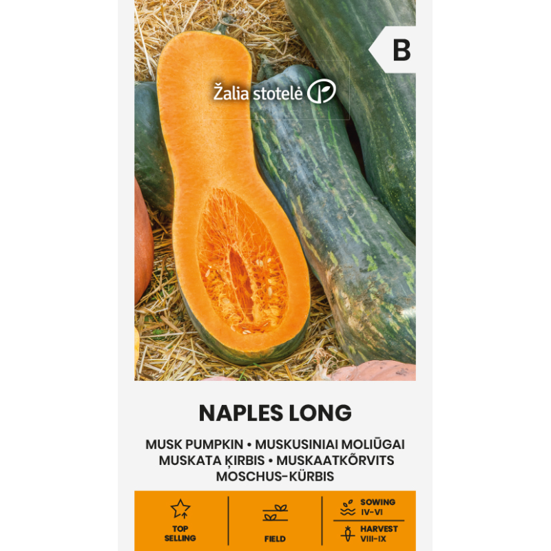 Pumpkin Musk Naples Long - Seeds