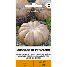 Pumpkin Musk Muscade de Provence - Seeds