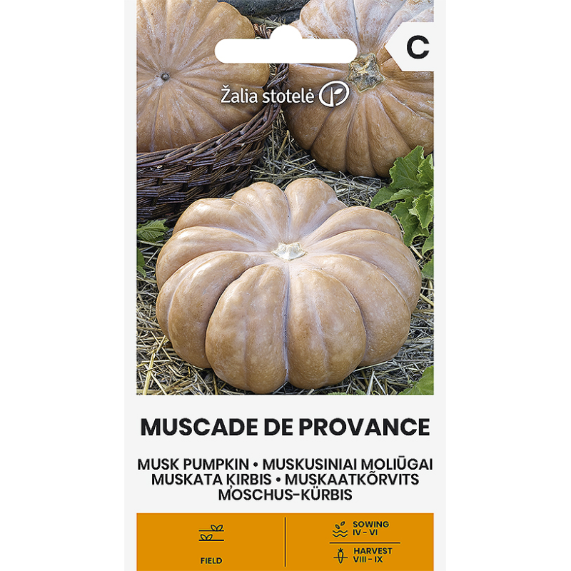 Pumpkin Musk Muscade de Provence - Seeds