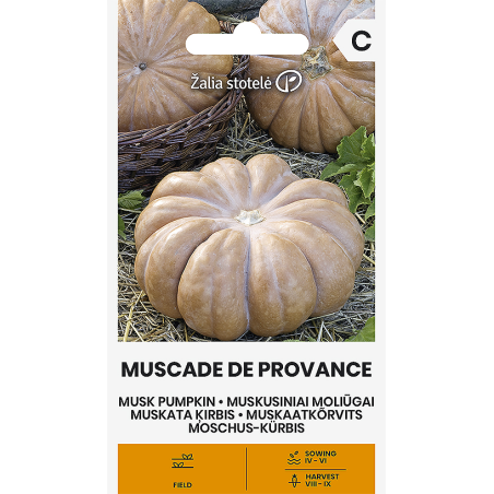 Pumpkin Musk Muscade de Provence - Seeds