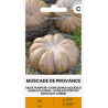 Pumpkin Musk Muscade de Provence - Seeds