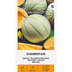 Melon Charentais - Seeds