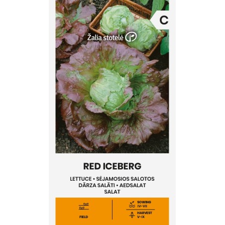 Lettuce Red Iceberg - Seeds