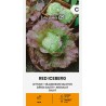Lettuce Red Iceberg - Seeds