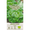 Lettuce Merveille d'Hiver - Seeds