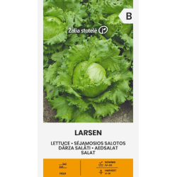 Lettuce Larsen - Seeds
