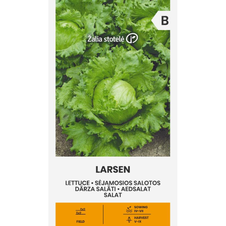 Lettuce Larsen - Seeds