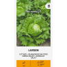 Lettuce Larsen - Seeds