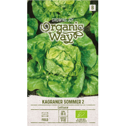 Lettuce Kagraner Sommer 2 - Seeds