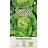 Lettuce Kagraner Sommer 2 - Seeds