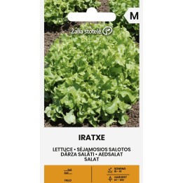 Lettuce Iratxe - Seeds