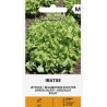Lettuce Iratxe - Seeds