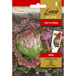 Lettuce Derel - Seeds