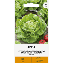 Lettuce Appia - Seeds