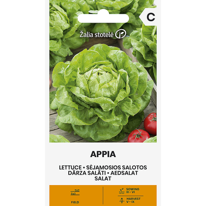Lettuce Appia - Seeds