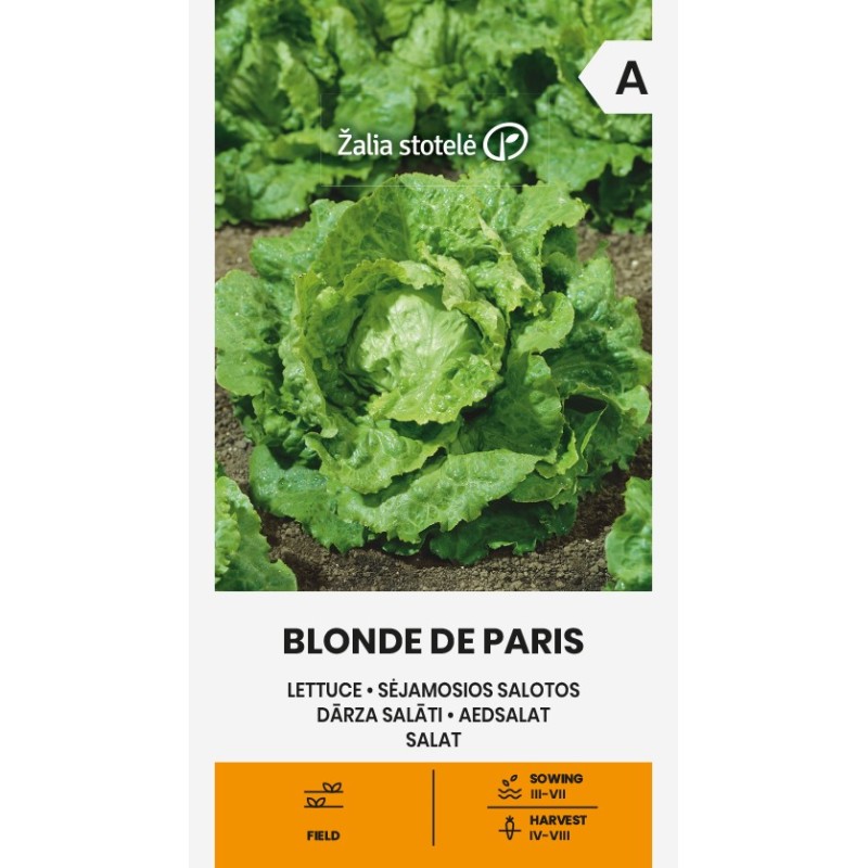 Lettuce Blonde de Paris - Seeds