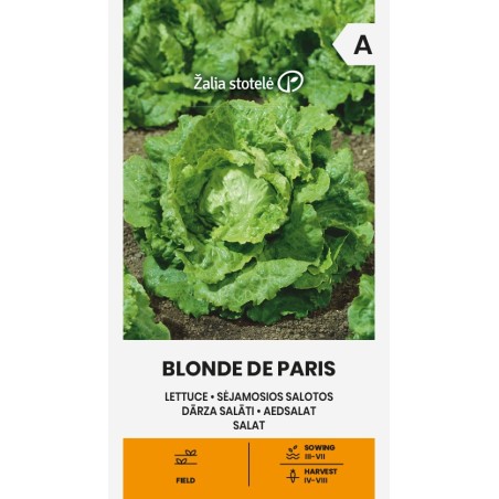 Lettuce Blonde de Paris - Seeds