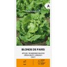 Lettuce Blonde de Paris - Seeds