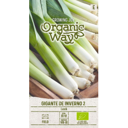 Leek Gigante de Inverno 2 - Seeds